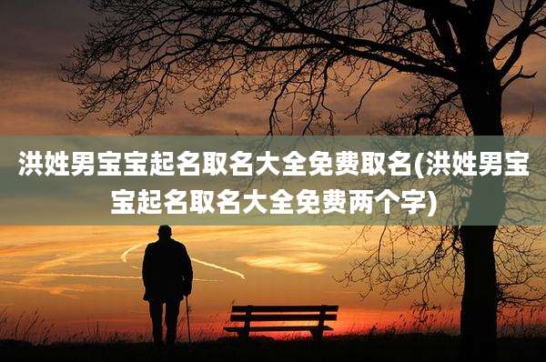 洪姓男宝宝起名取名大全免费取名(洪姓男宝宝起名取名大全免费两个字)