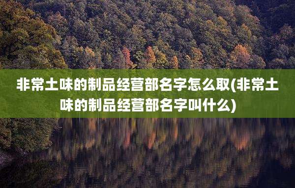 非常土味的制品经营部名字怎么取(非常土味的制品经营部名字叫什么)
