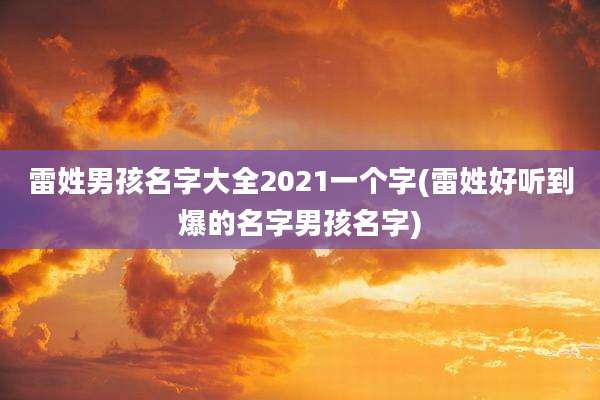 雷姓男孩名字大全2021一个字(雷姓好听到爆的名字男孩名字)