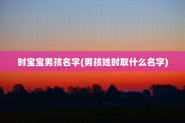 时宝宝男孩名字(男孩姓时取什么名字)