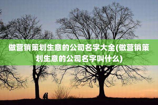 做营销策划生意的公司名字大全(做营销策划生意的公司名字叫什么)