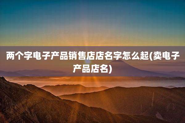 两个字电子产品销售店店名字怎么起(卖电子产品店名)
