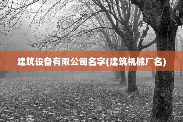 建筑设备有限公司名字(建筑机械厂名)