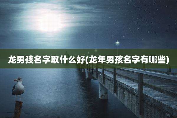 龙男孩名字取什么好(龙年男孩名字有哪些)