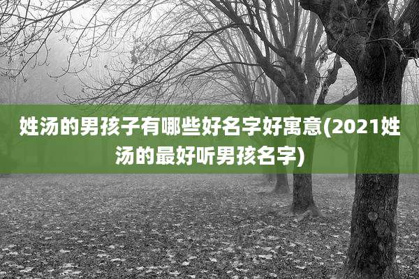 姓汤的男孩子有哪些好名字好寓意(2021姓汤的最好听男孩名字)