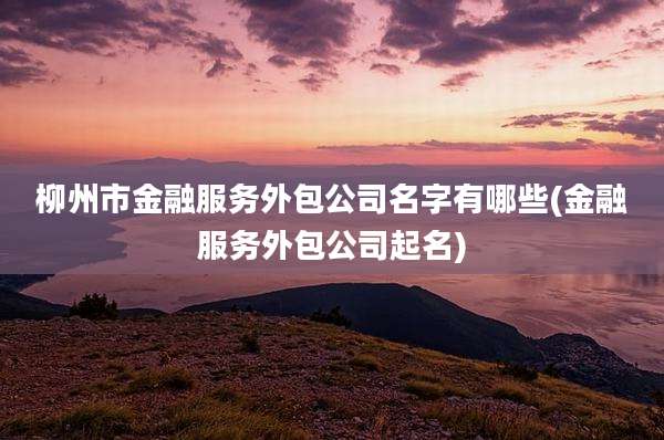 柳州市金融服务外包公司名字有哪些(金融服务外包公司起名)