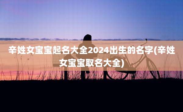 辛姓女宝宝起名大全2024出生的名字(辛姓女宝宝取名大全)