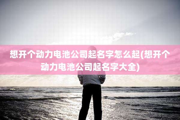 想开个动力电池公司起名字怎么起(想开个动力电池公司起名字大全)
