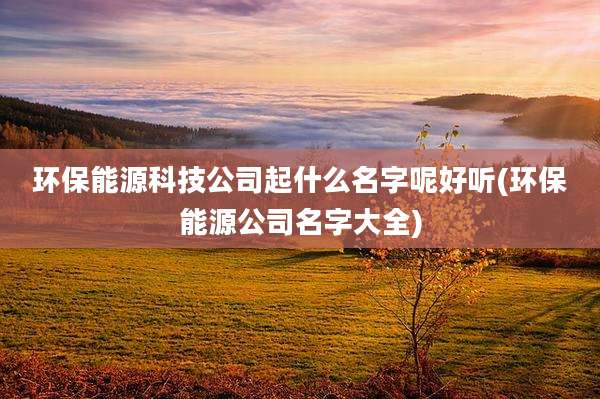 环保能源科技公司起什么名字呢好听(环保能源公司名字大全)