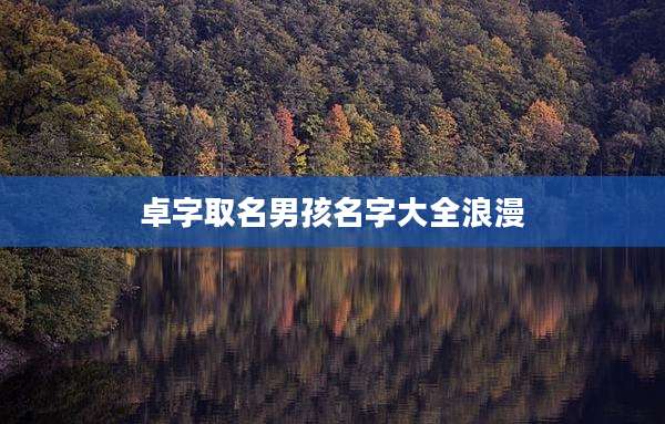 卓字取名男孩名字大全浪漫