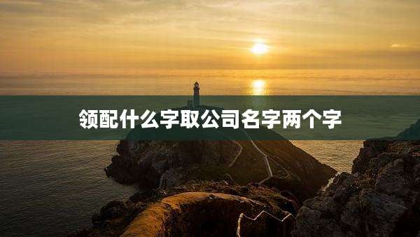 领配什么字取公司名字两个字