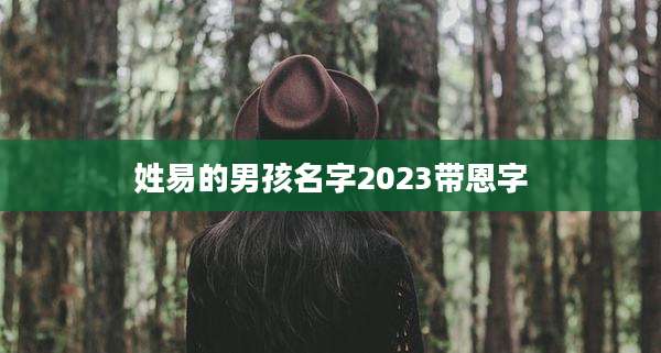 姓易的男孩名字2023带恩字