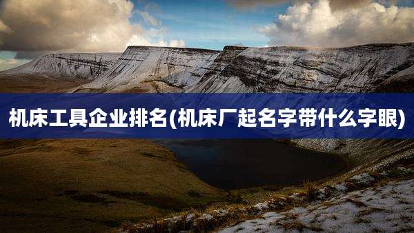 机床工具企业排名(机床厂起名字带什么字眼)