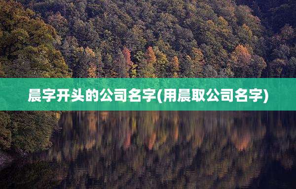 晨字开头的公司名字(用晨取公司名字)