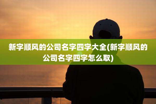 新字顺风的公司名字四字大全(新字顺风的公司名字四字怎么取)