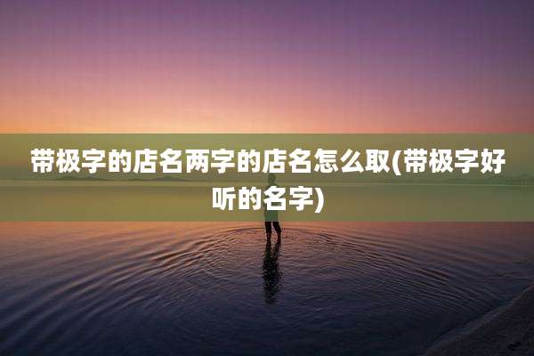 带极字的店名两字的店名怎么取(带极字好听的名字)