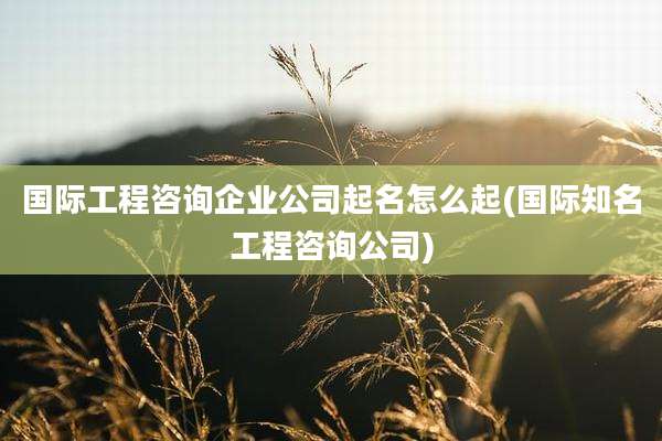 国际工程咨询企业公司起名怎么起(国际知名工程咨询公司)
