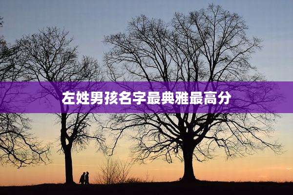 左姓男孩名字最典雅最高分