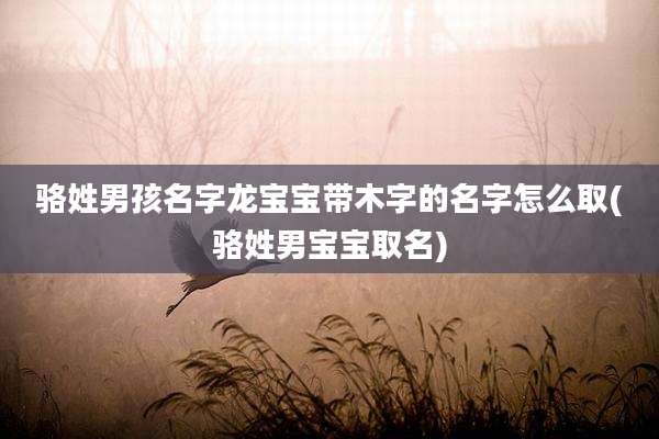 骆姓男孩名字龙宝宝带木字的名字怎么取(骆姓男宝宝取名)