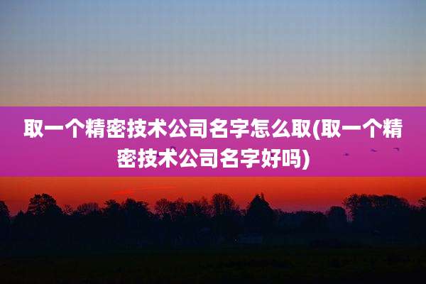 取一个精密技术公司名字怎么取(取一个精密技术公司名字好吗)
