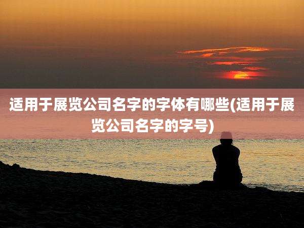 适用于展览公司名字的字体有哪些(适用于展览公司名字的字号)