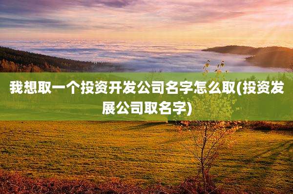 我想取一个投资开发公司名字怎么取(投资发展公司取名字)