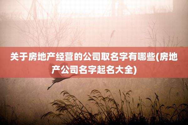 关于房地产经营的公司取名字有哪些(房地产公司名字起名大全)