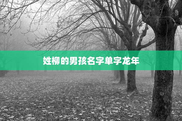 姓柳的男孩名字单字龙年