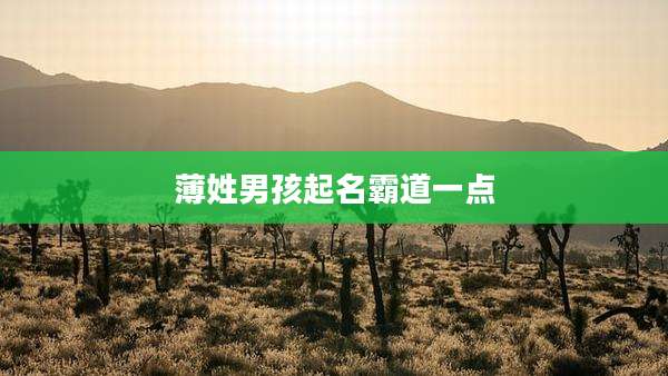 薄姓男孩起名霸道一点