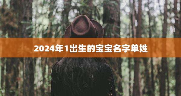 2024年1出生的宝宝名字单姓