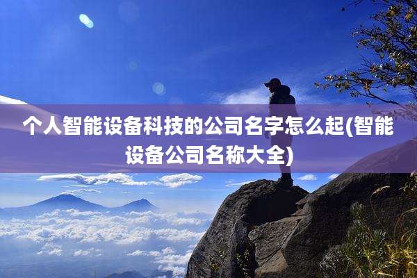 个人智能设备科技的公司名字怎么起(智能设备公司名称大全)