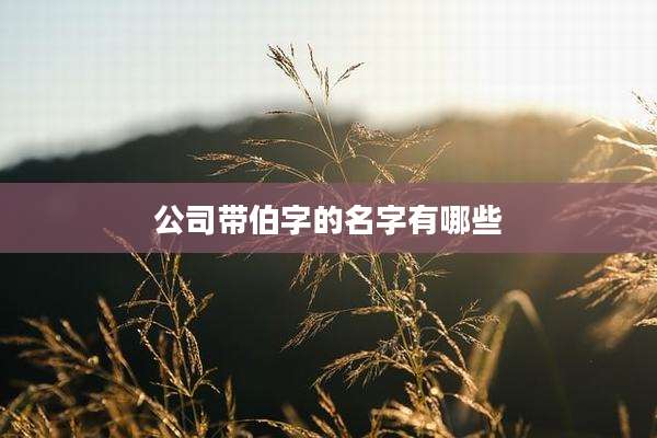 公司带伯字的名字有哪些