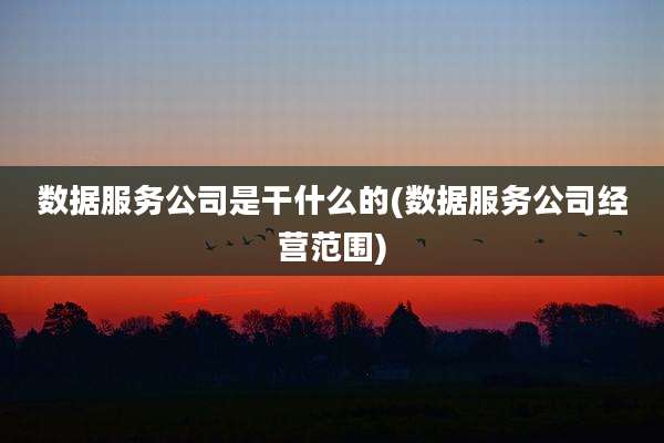 数据服务公司是干什么的(数据服务公司经营范围)