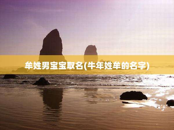 牟姓男宝宝取名(牛年姓牟的名字)