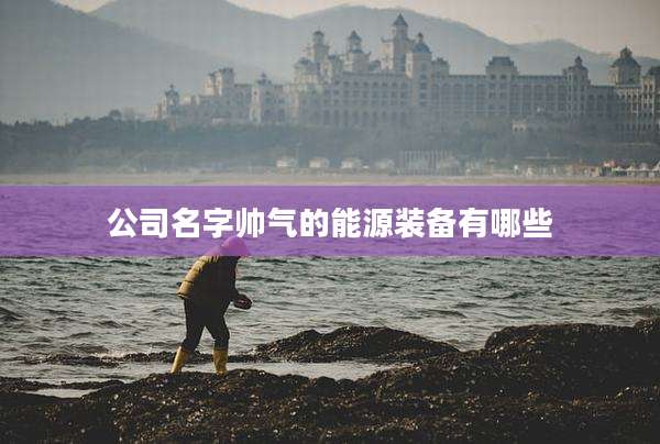 公司名字帅气的能源装备有哪些