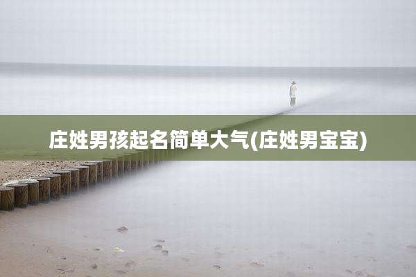 庄姓男孩起名简单大气(庄姓男宝宝)