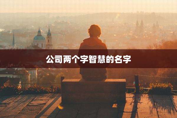 公司两个字智慧的名字