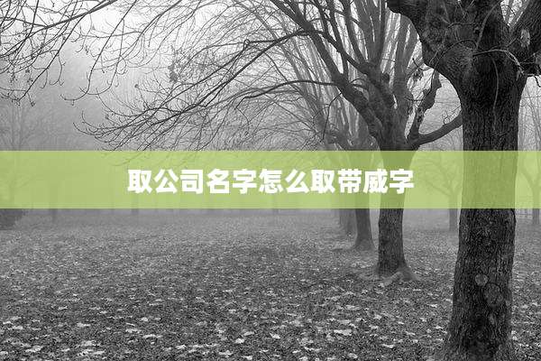 取公司名字怎么取带威字