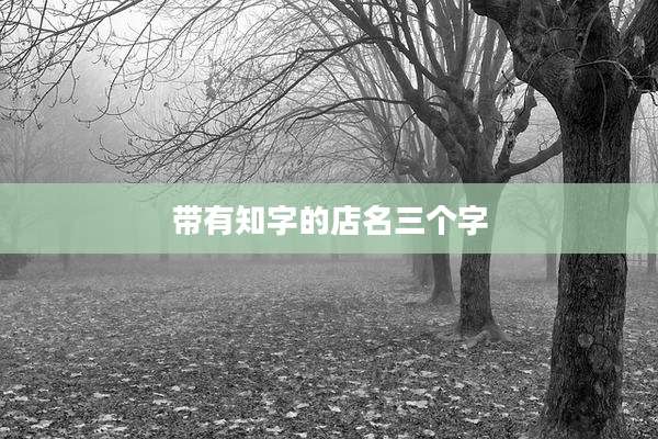 带有知字的店名三个字