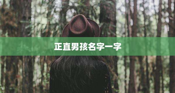 正直男孩名字一字