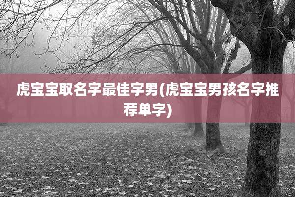虎宝宝取名字最佳字男(虎宝宝男孩名字推荐单字)