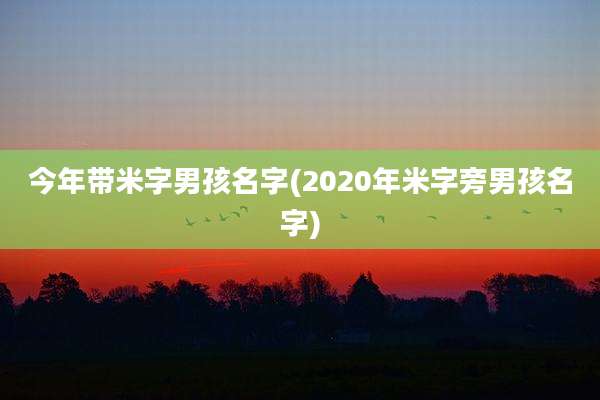 今年带米字男孩名字(2020年米字旁男孩名字)