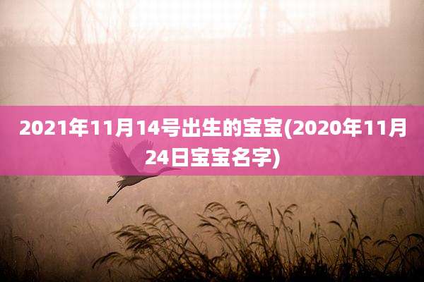 2021年11月14号出生的宝宝(2020年11月24日宝宝名字)