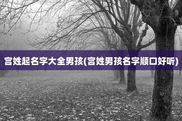 宫姓起名字大全男孩(宫姓男孩名字顺口好听)