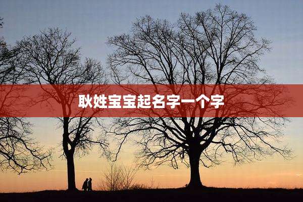 耿姓宝宝起名字一个字