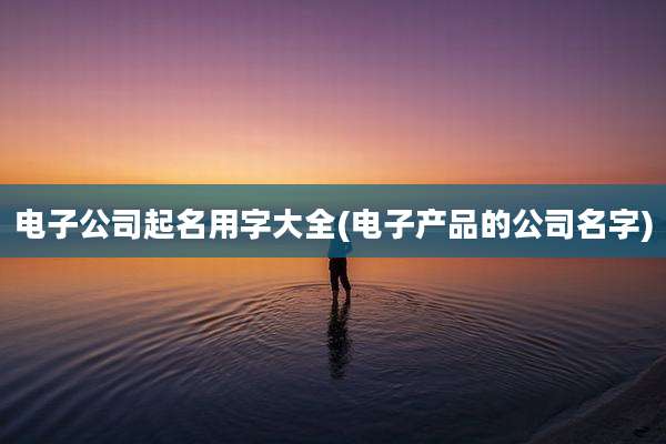 电子公司起名用字大全(电子产品的公司名字)
