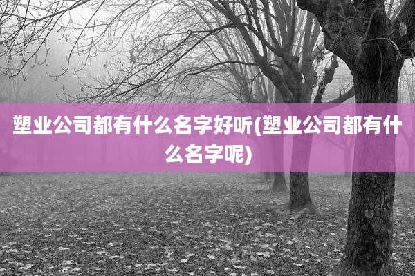 塑业公司都有什么名字好听(塑业公司都有什么名字呢)