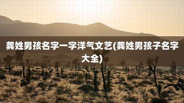 龚姓男孩名字一字洋气文艺(龚姓男孩子名字大全)