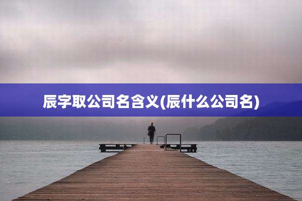 辰字取公司名含义(辰什么公司名)