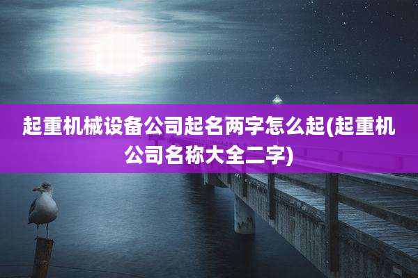 起重机械设备公司起名两字怎么起(起重机公司名称大全二字)
